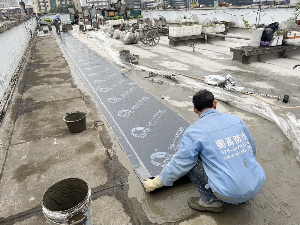 四川省人民代表大會常務委員會3號樓5樓屋頂防水工程